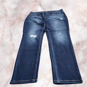 Time and Tru Distressed Skinny Jean Size 18